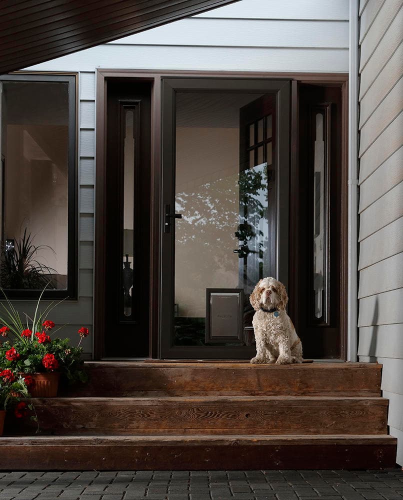 Pet Storm Doors